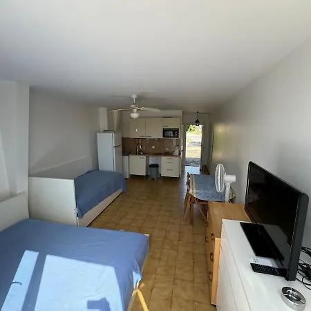 Avec Terrasse Vue Apartman Le Lavandou